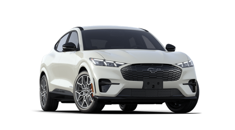 Mustang Mach-E® vehicle